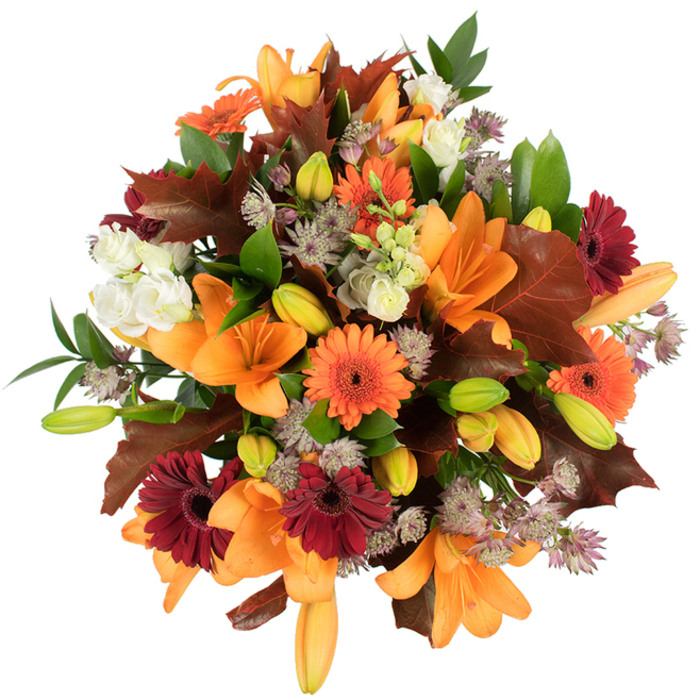 A lush, elevated close-up of a fall floral arrangement assembled with confident skill and a storyteller's eye for seasonal detail. Several fully opened orange Asiatic lilies dominate the centre, their broad, trumpet-shaped petals unfurling in satiny layers and catching the studio light to reveal subtle veining. Around them, vibrant orange Gerbera daisies and deep burgundy-red gerberas punctuate the bouquet with cheerful, bold discs and dark centres that create rhythmic visual beats. Soft ivory lisianthus - delicate, ruffled and layered - nestle in between, their pale tones offering a tender contrast to the stronger colors. Wispy clusters of muted purple Astrantia lend an airy, star-like texture that plays against the lilies' smooth planes. Numerous tightly wrapped lily buds in shades of bright green and pale orange give the arrangement a sense of unfolding life and depth. Broad, reddish-brown oak-like leaves are strategically placed to evoke a woodland walk near Nonsuch Park in late October, their lobed silhouettes and warm tones sealing the autumnal narrative. Fresh green foliage and slim stems thread through the dense bouquet, supplying both structure and a cooling green note. Bright, even lighting on a pristine white background makes each color sing - from pumpkin-orange to wine-red to soft cream - and emphasizes the bouquet's full, rounded shape. Crafted with local sensibility and freshness in mind, this arrangement would be especially fitting for a Thanksgiving table, a seasonal gift delivered across Cheam Village, or as autumnal décor for homes around Cheam and Sutton.
