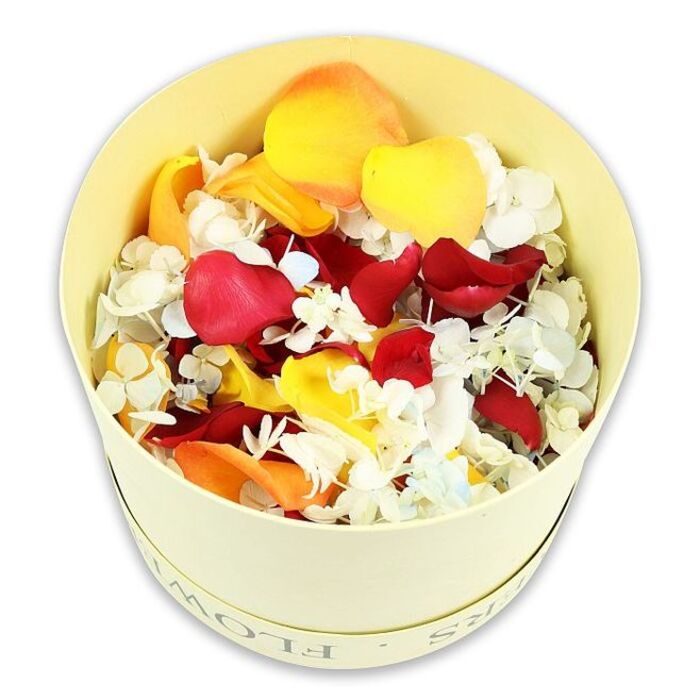 The photograph presents a simple yet poignant scene: a cylindrical gift box in a soft cream-yellow shade sits centred on a pristine white background, overflowing with a carefully curated mix of dried flower petals. The hatbox, likely crafted from smooth paperboard, bears a subtle FLOWERS inscription around its rim, giving a quiet indication of its purpose as a floral tribute rather than drawing focus from the petals themselves. Viewed from a slightly raised angle, the flowers appear to billow upward, with petals mounded above the edge of the box in an abundant, almost cloud-like form. Deep red rose petals dominate, rich and velvety, conveying love, devotion, and the solemnity often associated with funeral tributes across Cheam and the surrounding residential streets. Interlaced among them are vivid yellow and warm peach-orange petals that lift the palette, suggesting sunlight, fond recollections, and gentle hope. Nestled throughout are countless tiny white hydrangea florets, with the faintest hint of pale blue in places, their papery texture offering a light, airy counterpoint to the bolder rose petals. The overall effect is textural and harmonious, a balance of soft edges and rich colour blocks, ideal for scattering petals along a crematorium walkway, framing an urn, or decorating a remembrance table in a local Cheam hall. The plain white backdrop isolates the arrangement so that the eye lingers on the nuanced tones and forms, much as mourners might linger on treasured moments shared with a loved one. This image communicates calm, respect, and an understated beauty suitable for sensitive goodbyes.