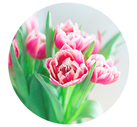 Same day Flowers 
